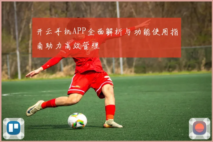 开云手机APP全面解析与功能使用指南助力高效管理