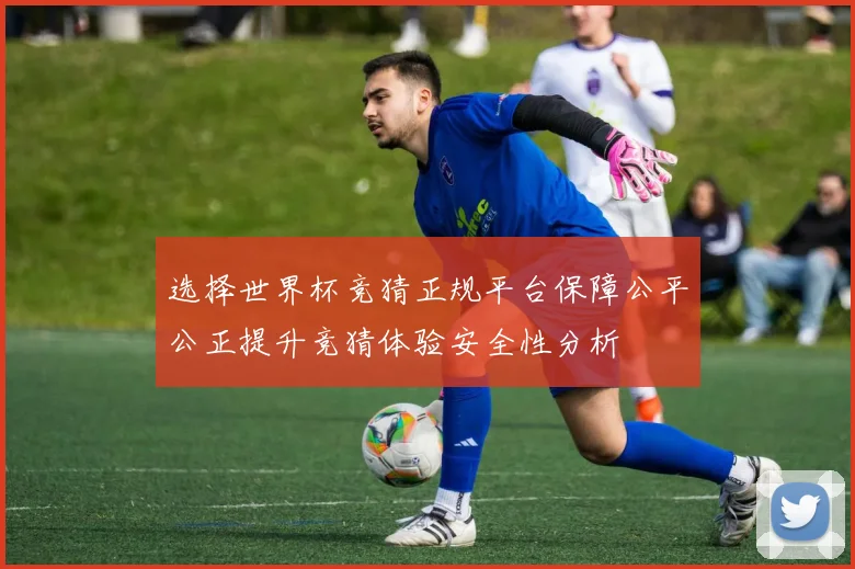 选择世界杯竞猜正规平台保障公平公正提升竞猜体验安全性分析