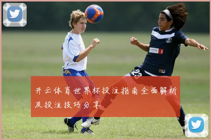 开云体育世界杯投注指南全面解析及投注技巧分享